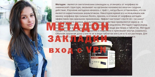 прущие грибы Беломорск