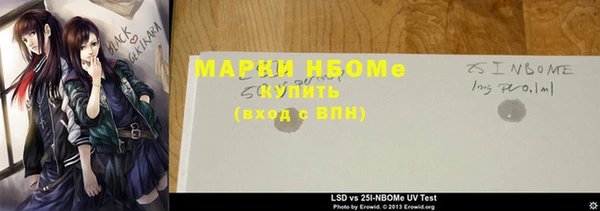прущие грибы Беломорск