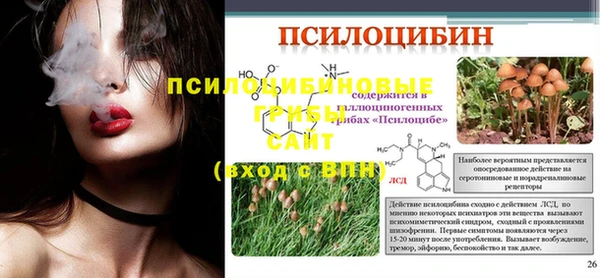 индика Белоозёрский