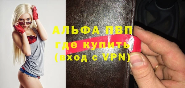 индика Белоозёрский