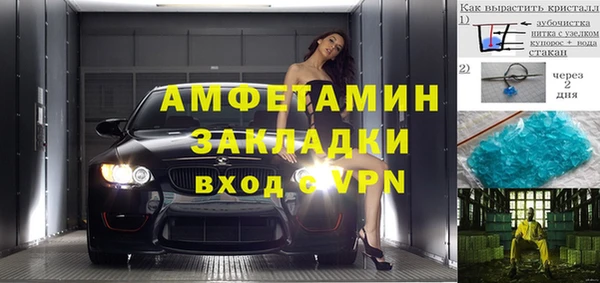 прущие грибы Беломорск